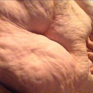 Landwhale700