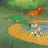 secret zebra
