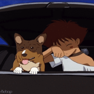 DerpyDoggo