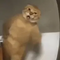 Peetza