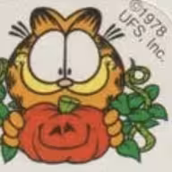 Orange Tabby