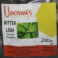 Bitter Leaf