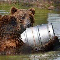 Kodiak