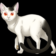 Nekomata12