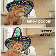 ESTOY POOPIN