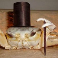 The Crab