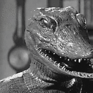 InteriorCrocodileEducator