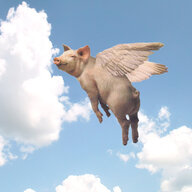 Swine Flew