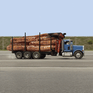 Trucker of peace
