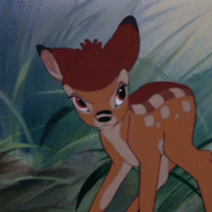 Stoner Bambi