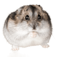 ObeseHamster