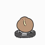 Just Another Kiwi