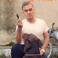 morrisseyfan27