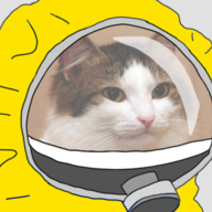 Download This Cat