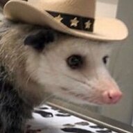 lolcowboy possum