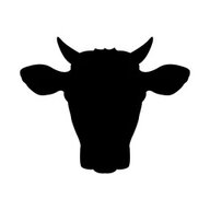 Anonymoos