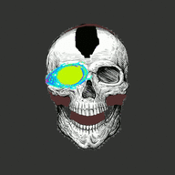 ShadowBorg
