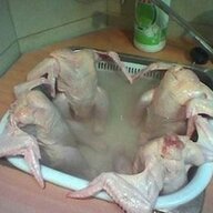 Liquid Kitchen