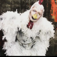 Dimwitted Chicken