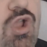 KiwiFarmer97