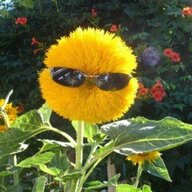 flowerart