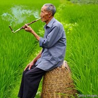 Cantonese Cabbage Farmer