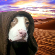 OdieWan_Kendoggi