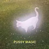 Sunwhisker