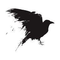 Huginn
