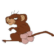 Four-assed monkey