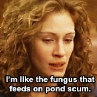 Pond Scum