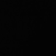 TheRollinWonder-