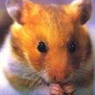 Supermouse