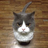 JudgingYou
