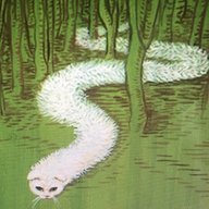 catsnake