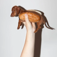 TopsyTurvyHotdog