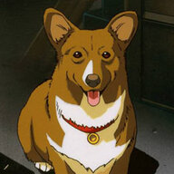 Corgimentions