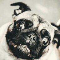 Ethel's Little Willy