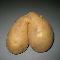 Exposed_Scrotum