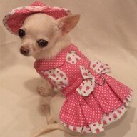 Lil Yappy
