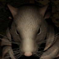 Rat Prophet
