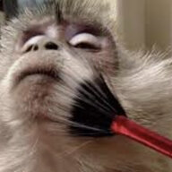 Monke madness