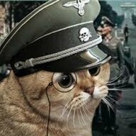 Meowschwitz