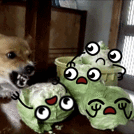 Seizure Salad