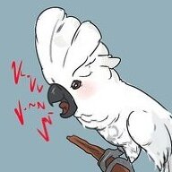 The bird with tourettes