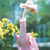 Mrs. Honk