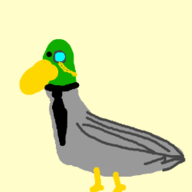 Duckman