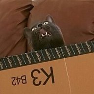 MewMandarin