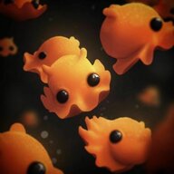Mariana Trench