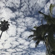 Malibougie